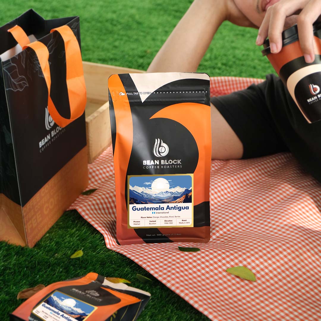 Person sitting on a checkered blanket with Bean Block Coffee roasters guatemala antigua 500g coffee packaging and a cup outdoors.