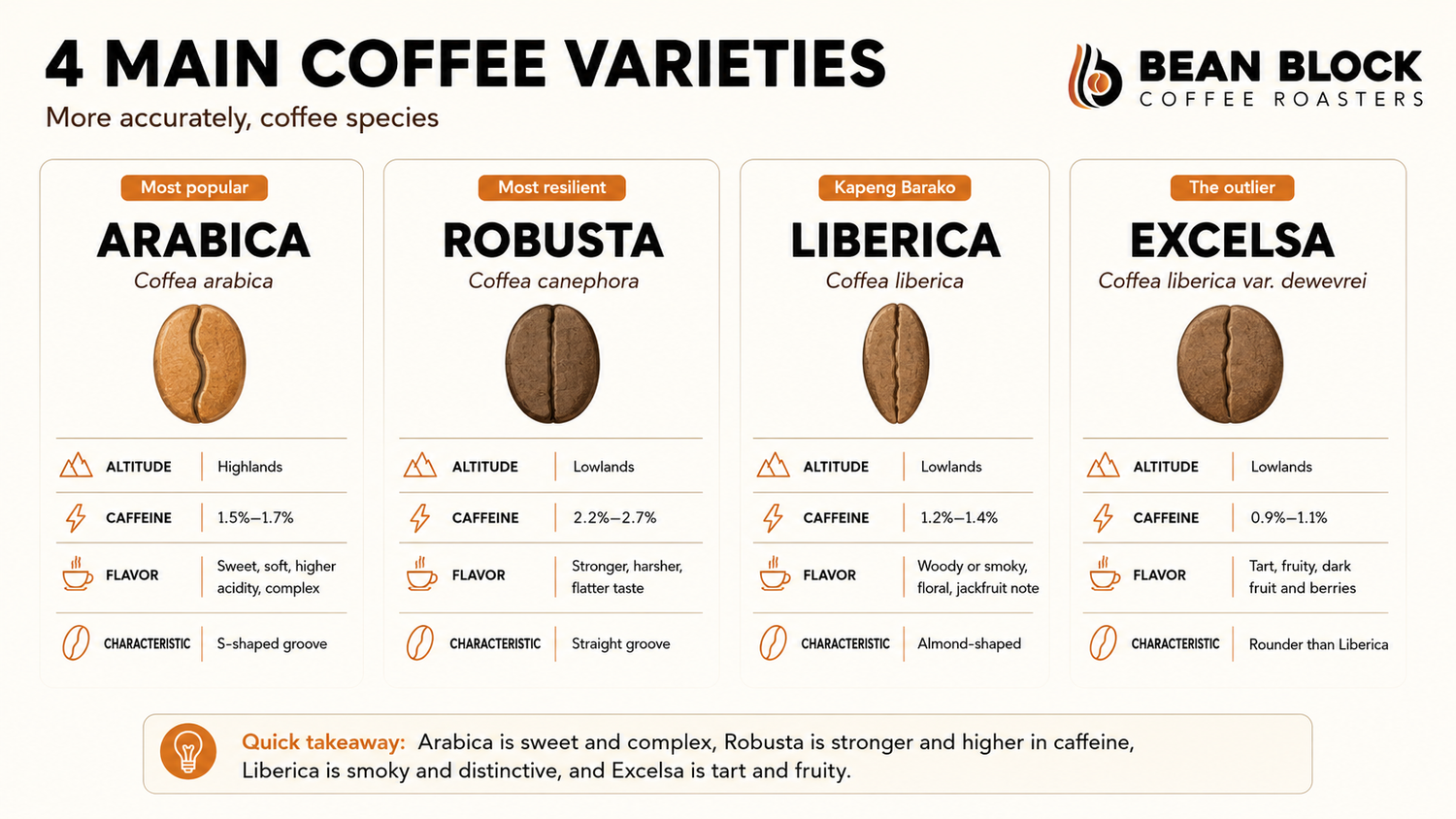 Coffee Varieties Explained: Arabica, Robusta & More