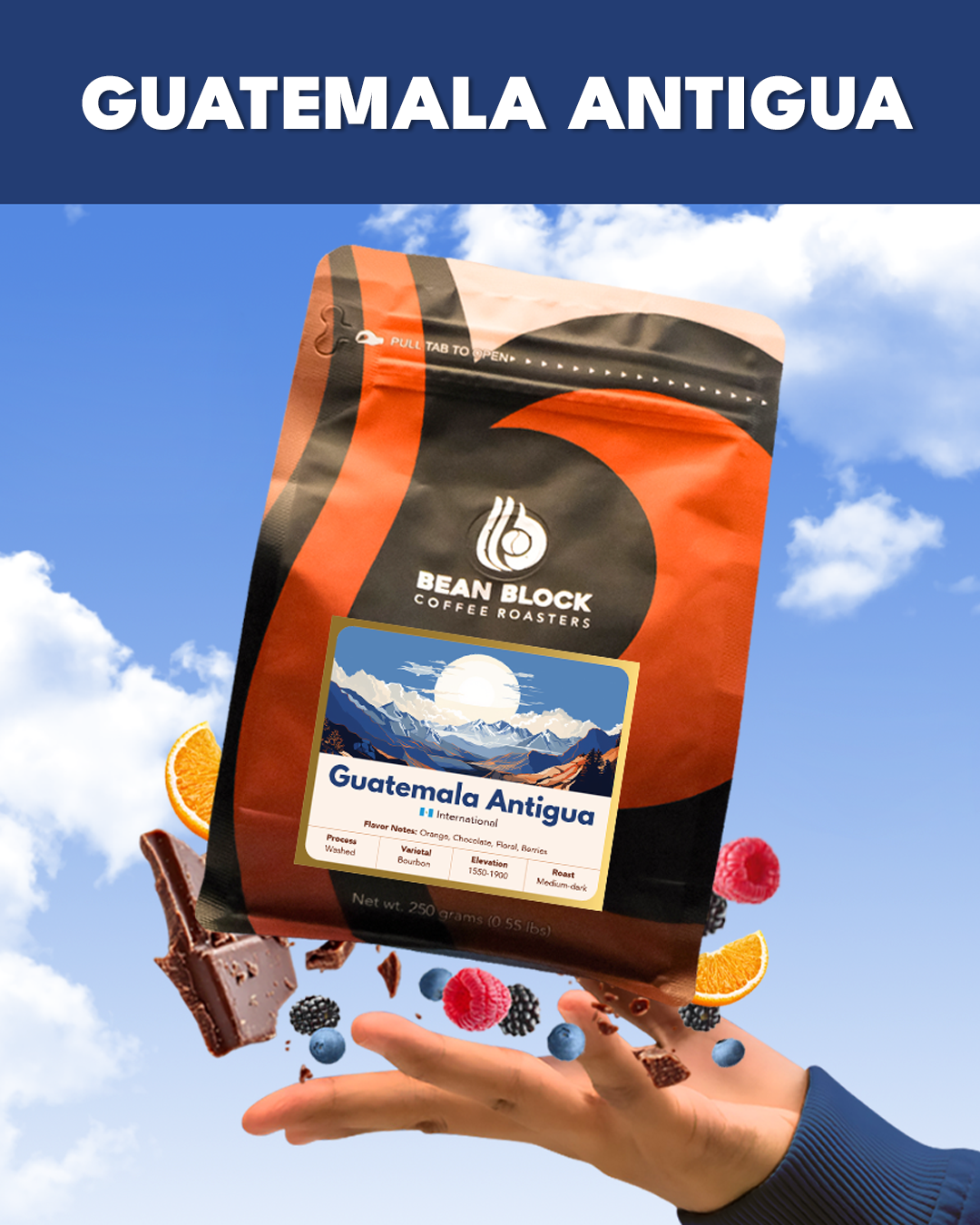 Bean Block Coffee Roasters Guatemala Antigua 250g coffee bag with a scenic label against a blue sky.