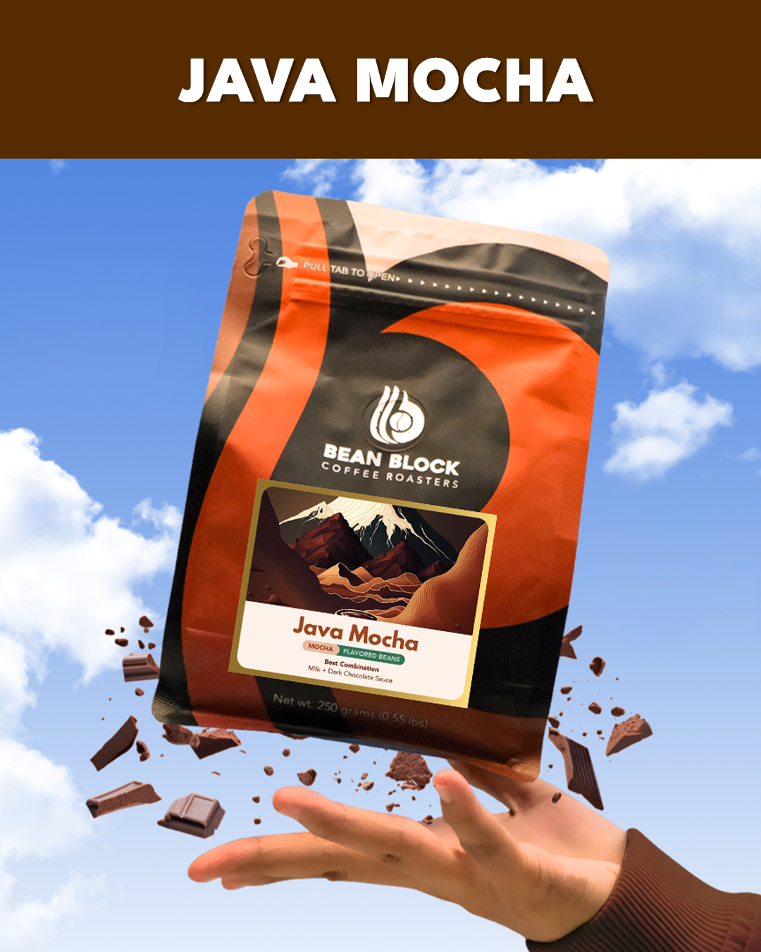 Bean Block Coffee Roasters Java Mocha 250g mocha flavored coffee package with a hand holding it against a blue sky background.