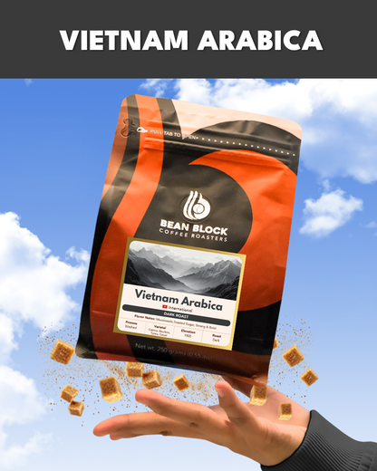 Bean Block Coffee Roasters Vietnam Arabica Dark roast 250g coffee package with a hand holding it against a blue sky background.